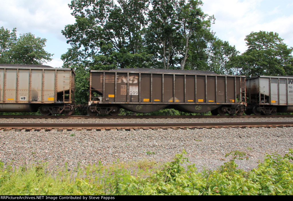 NS 10099